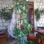 Ana * Mlini